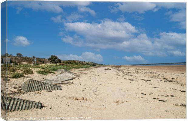 Alnmouth Beach Northumberland  Canvas Print by Holly Burgess