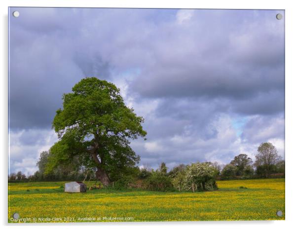 Idyllic Wiltshire Countryside Acrylic by Nicola Clark