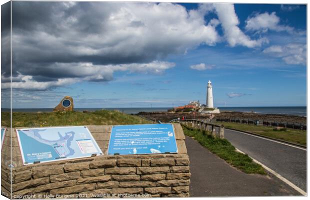 St Mary's Lighthouse and Island  Canvas Print by Holly Burgess