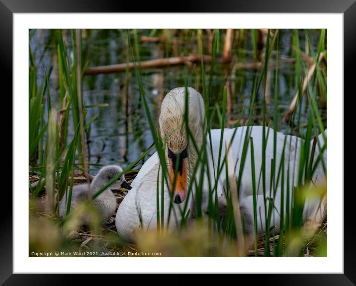 Home and Safe. Framed Mounted Print by Mark Ward