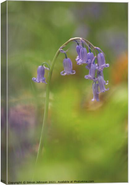 Bluebell close up Canvas Print by Simon Johnson