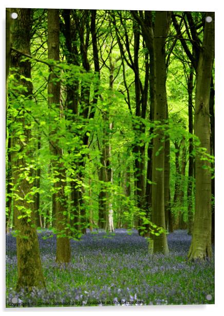 Bluebell wood Acrylic by Simon Johnson