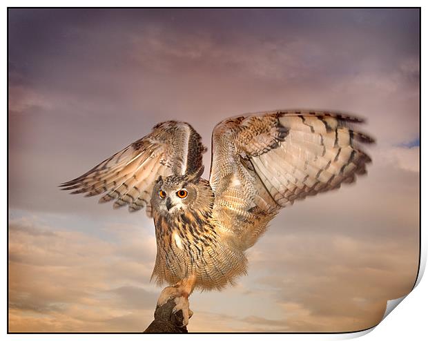 The Eagle Owl Has Landed Print by Mike Sherman Photog