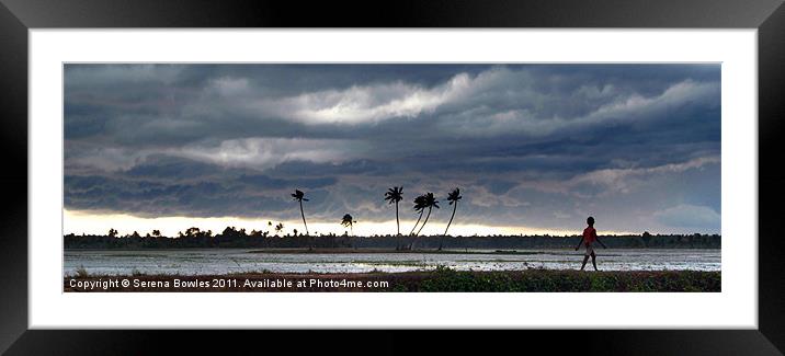 Boy Walking in a Storm Kerala Panorama Framed Mounted Print by Serena Bowles