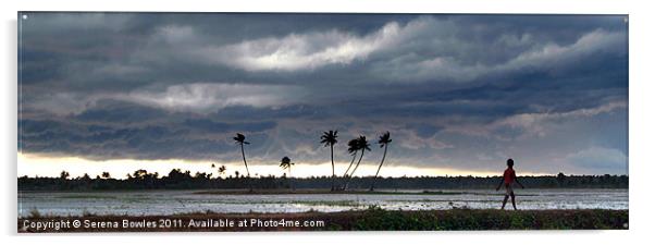 Boy Walking in a Storm Kerala Panorama Acrylic by Serena Bowles