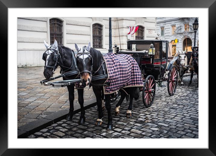 Fiaker Hackney Carriage in Vienna, Austria Framed Mounted Print by Dietmar Rauscher