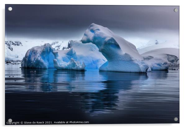 Glacial Bear Acrylic by Steve de Roeck