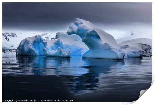 Glacial Bear Print by Steve de Roeck