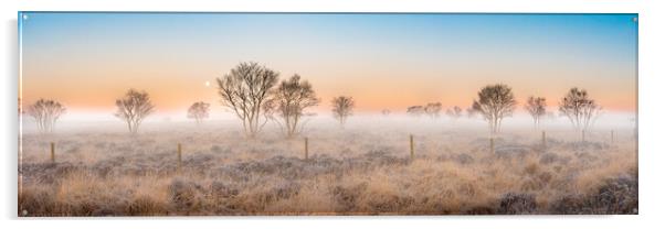 Staffordshire moorland dawn Acrylic by Michael Newton