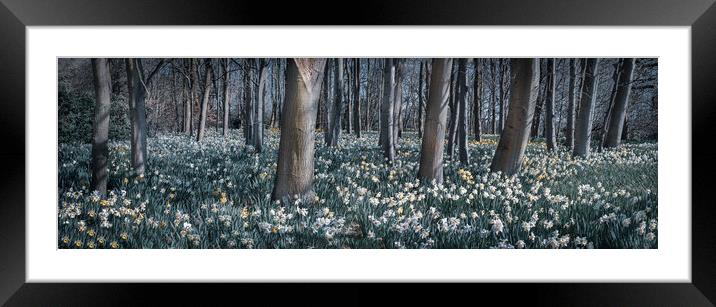 Crowded wood Framed Mounted Print by Michael Newton