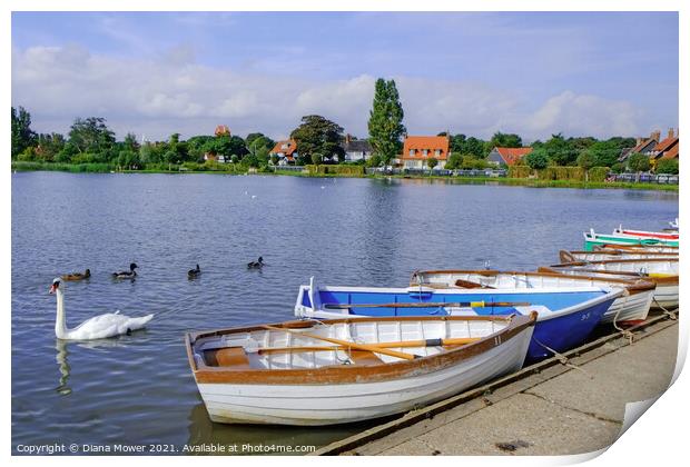 Thorpeness Meare Boats Print by Diana Mower