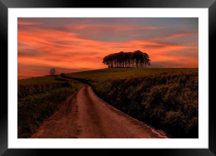 Coming Home Trees Sunset Framed Mounted Print by Oxon Images