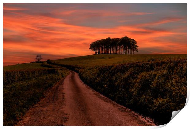 Coming Home Trees Sunset Print by Oxon Images