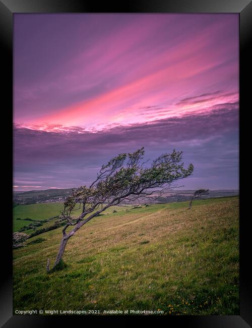 The Tree Framed Print by Wight Landscapes