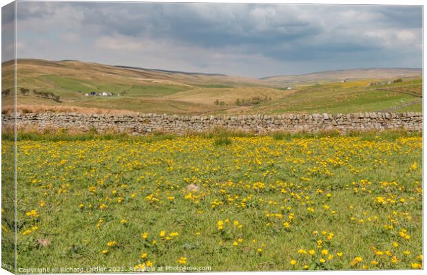 Harwood Spring Meadow Canvas Print by Richard Laidler