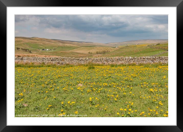 Harwood Spring Meadow Framed Mounted Print by Richard Laidler
