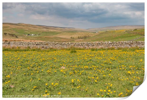 Harwood Spring Meadow Print by Richard Laidler