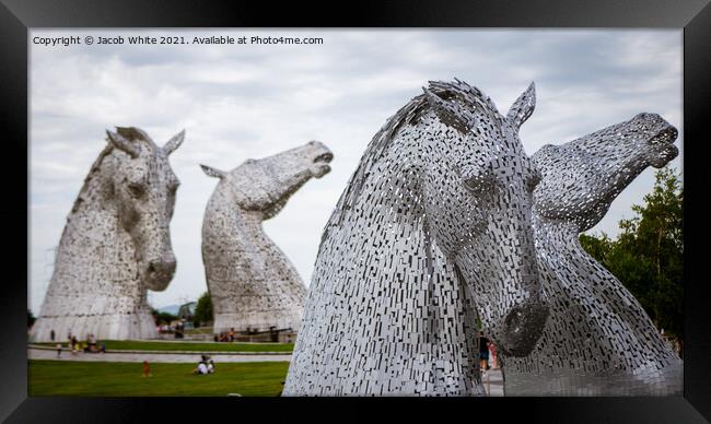 The Kelpies Framed Print by Jacob White
