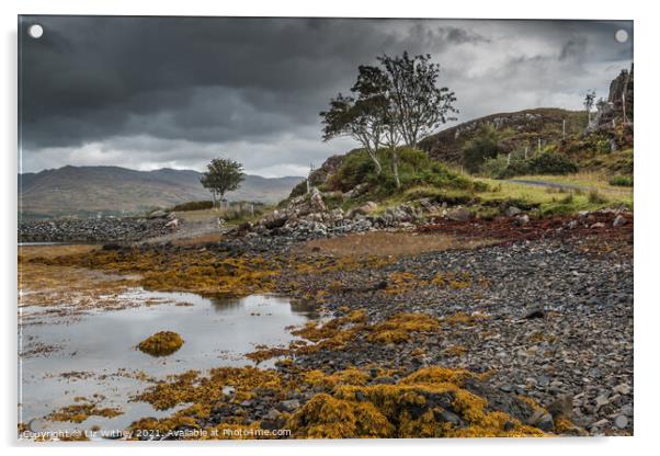 Loch nan Ceall, Arasaig Acrylic by Liz Withey