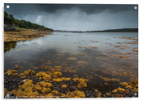 Loch nan Ceall, Arasaig Acrylic by Liz Withey