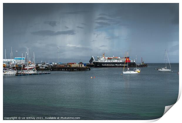 Mallaig Harbour Print by Liz Withey