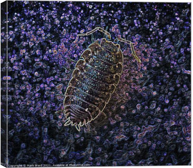 I am Not an Insect! Canvas Print by Mark Ward