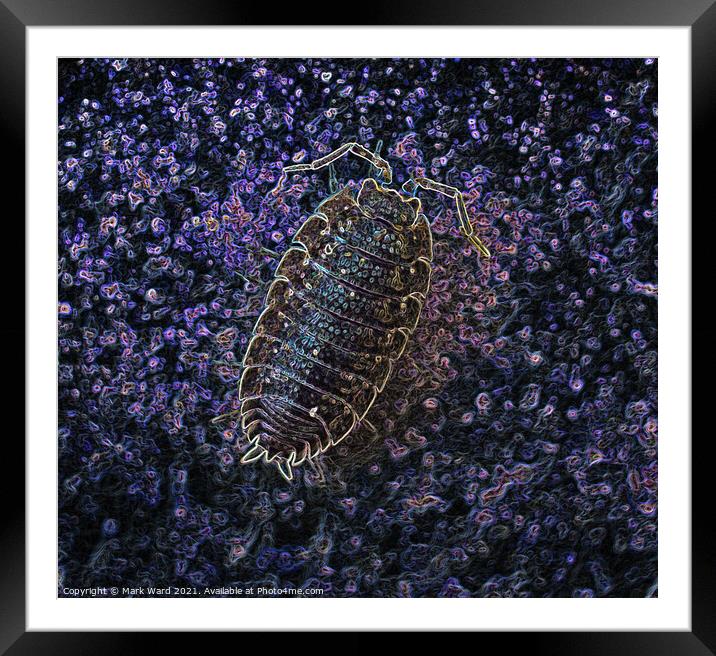 I am Not an Insect! Framed Mounted Print by Mark Ward