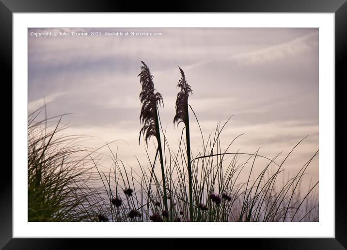 Reeds against the wind Framed Mounted Print by Jules D Truman