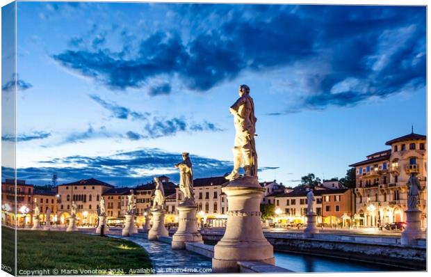 Row of illuminated statues in Padova Canvas Print by Maria Vonotna