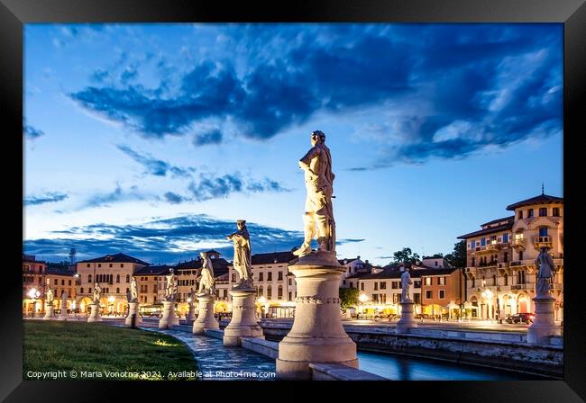 Row of illuminated statues in Padova Framed Print by Maria Vonotna