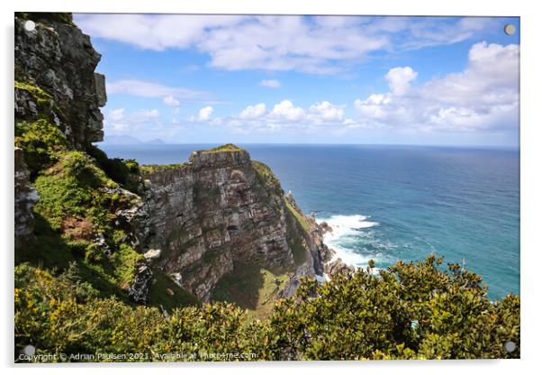 Cliffs of Cape Point  Acrylic by Adrian Paulsen