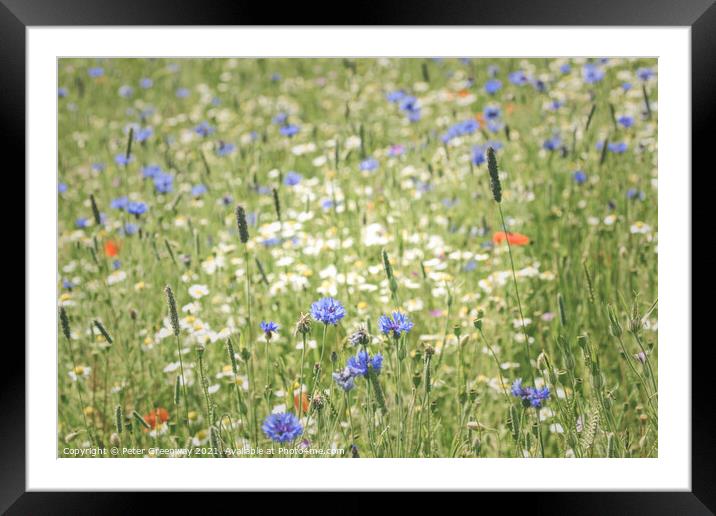 English Flower Meadow At Snowshill Framed Mounted Print by Peter Greenway