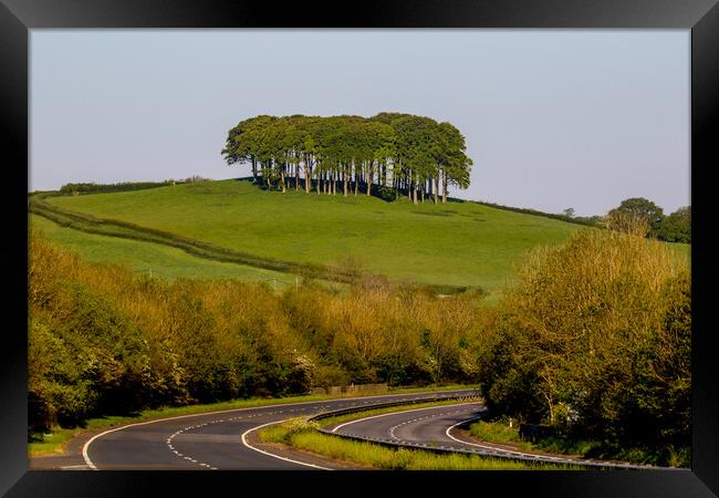 Nearly Home Trees Coming Home Trees A30 Framed Print by Oxon Images