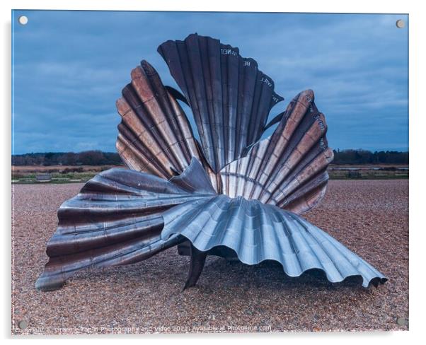 Alburgh Scallop Shell Suffolk Acrylic by Graeme Taplin Landscape Photography