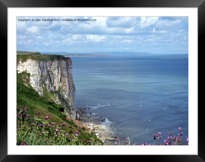 Bempton Cliffs Framed Mounted Print by Lilian Marshall