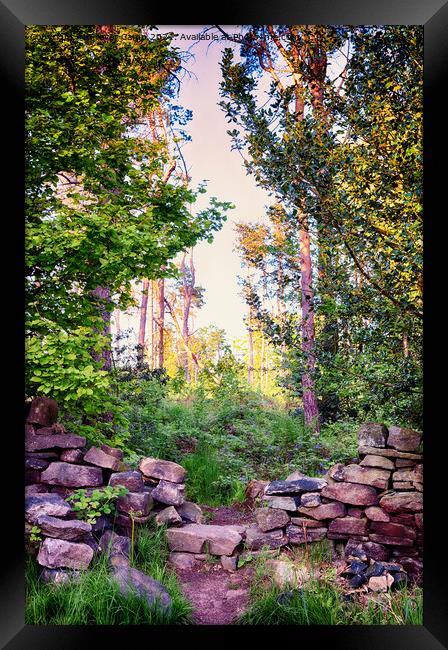 Through the Wall Framed Print by Trevor Camp