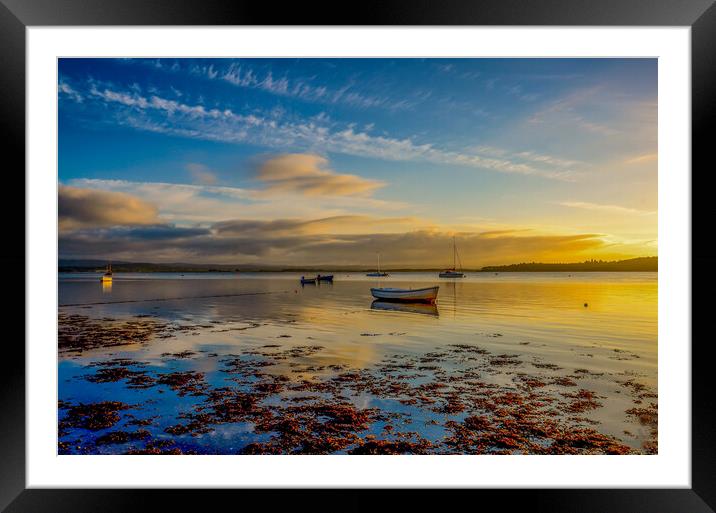 Findhorn Bay in Moray Scotland Framed Mounted Print by Tony Bishop