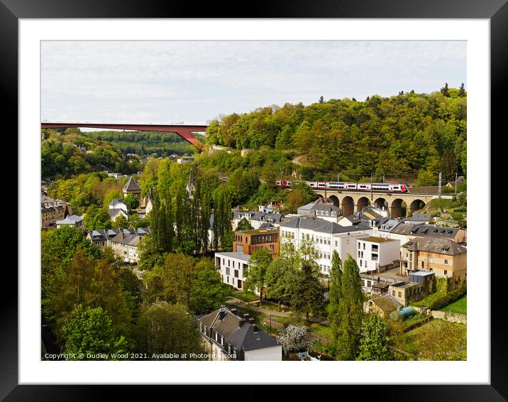 Luxurious Spring Train Ride Framed Mounted Print by Dudley Wood