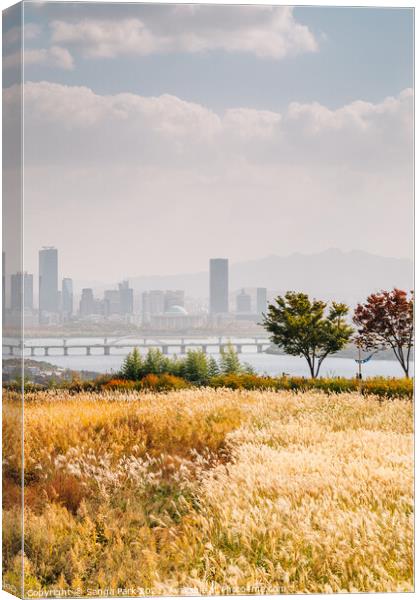 View of Seoul city and autumn of Sky park Canvas Print by Sanga Park