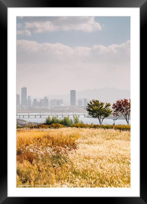View of Seoul city and autumn of Sky park Framed Mounted Print by Sanga Park