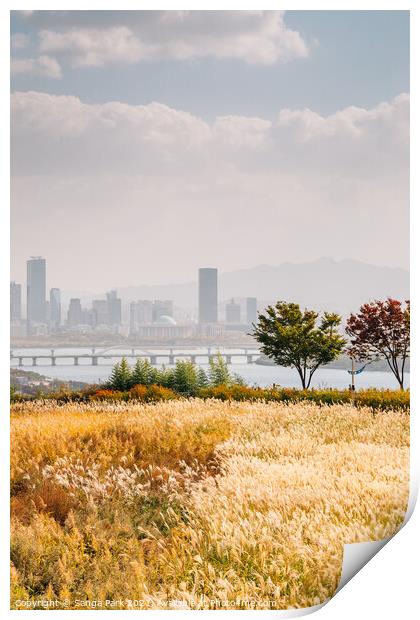 View of Seoul city and autumn of Sky park Print by Sanga Park