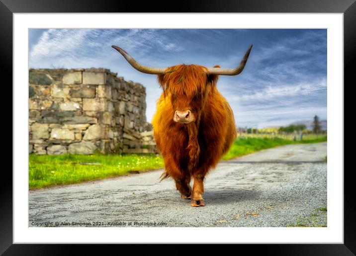 On The Moove Framed Mounted Print by Alan Simpson