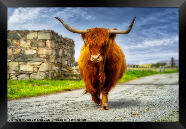On The Moove Framed Print by Alan Simpson