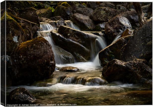 Peace and Tranquility at Over Beck Canvas Print by Adrian Gavigan