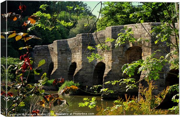 Stopham Bridge Canvas Print by Hannah Morley