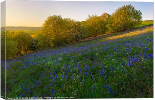 Bluebells at Roseberry Topping during sunset Canvas Print by Lewis Gabell