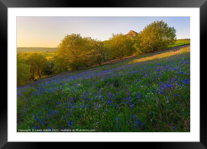 Bluebells at Roseberry Topping during sunset Framed Mounted Print by Lewis Gabell