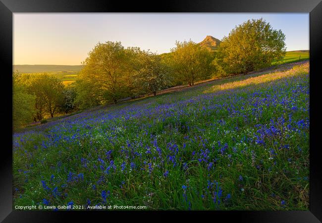 Bluebells at Roseberry Topping during sunset Framed Print by Lewis Gabell