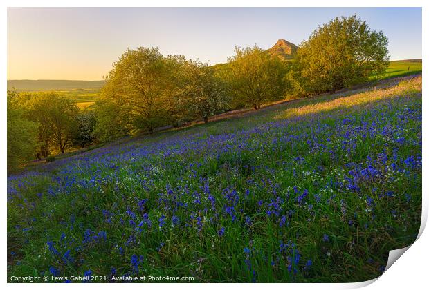Bluebells at Roseberry Topping during sunset Print by Lewis Gabell