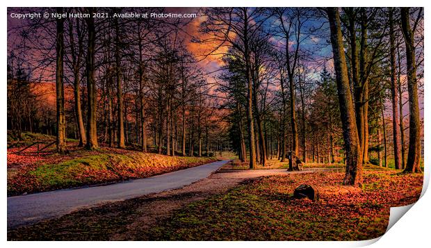 Abbey Lane Print by Nigel Hatton